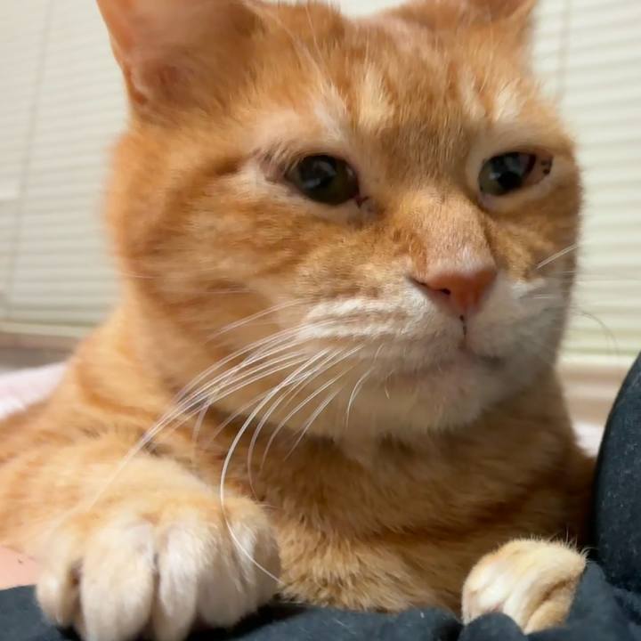 0f01da56 8e7a 4965 8785 5f608ac5d5ed 1768982803558