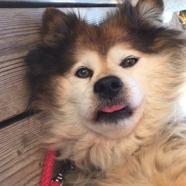 0f01f4cf 5c2b 43a4 85a8 23cad49c85e0 1628147897016