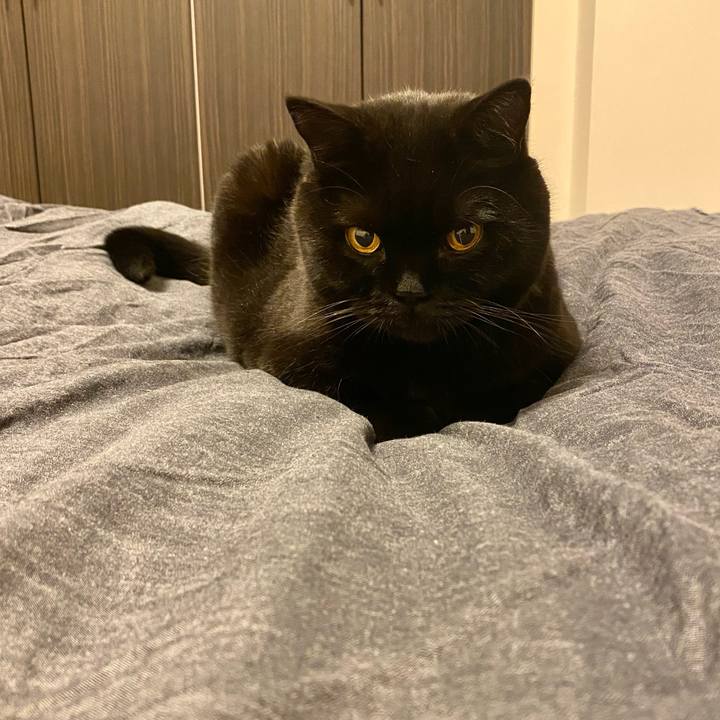 0f020d5c c1be 4e90 a1d2 c357b8cd466e 1764675059095