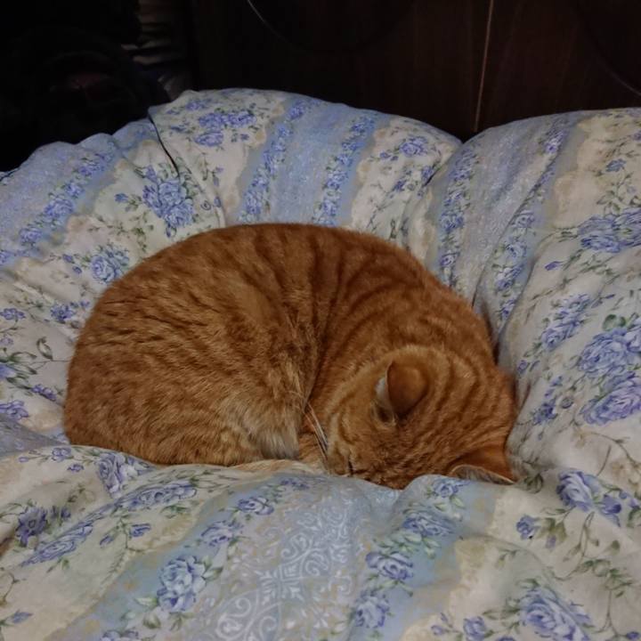 0f0212d5 fc95 438f 9100 4b51cc09e8d4 1582456554158