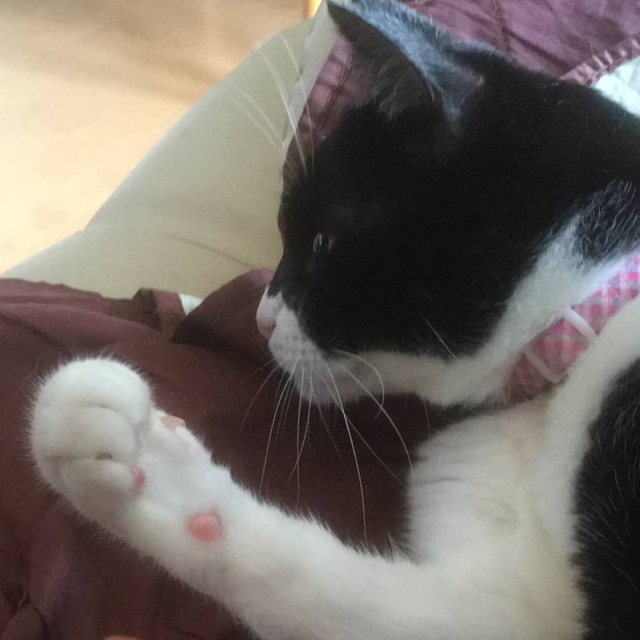 0f028f75 0625 41ef abf6 65e2030af766 1593692178510