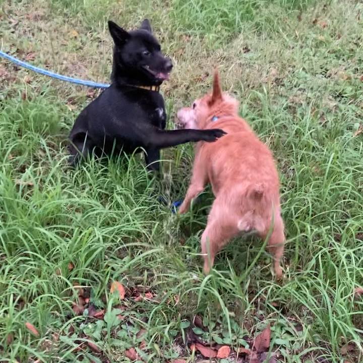 0f02b4e9 3e3d 424c 874d f237399f6787 1698464351713