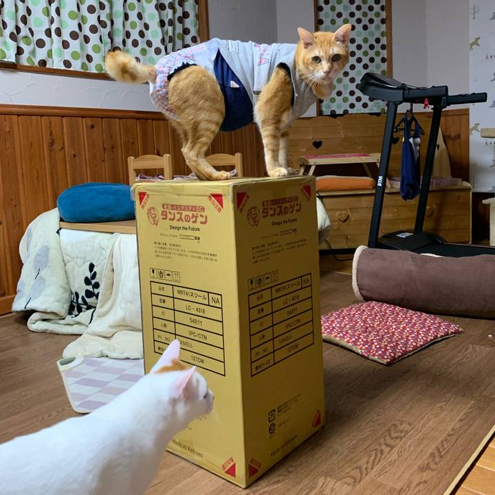 0f02fae1 3374 4712 899b 8b15138af128 1632925778733