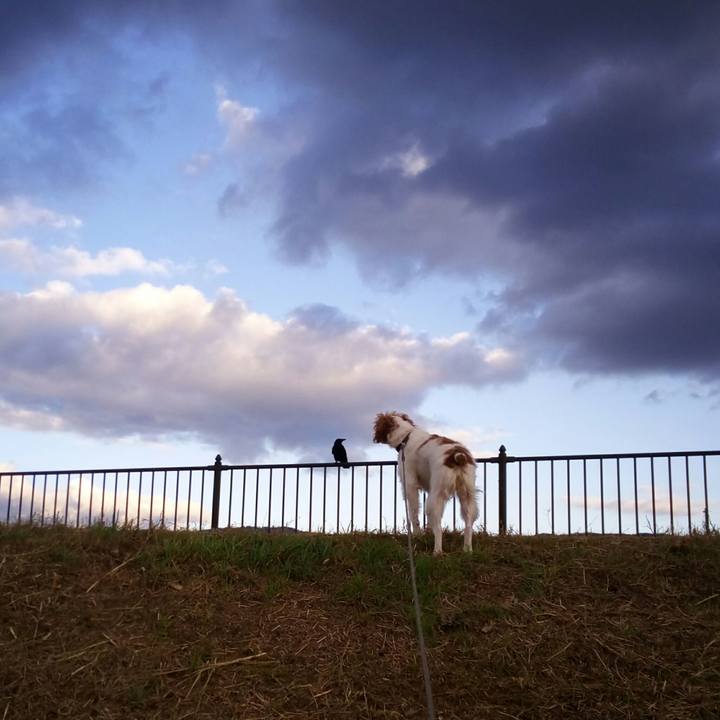 0f0328fb 30f4 4d49 afa0 6fba62f2adc6 1512548813061