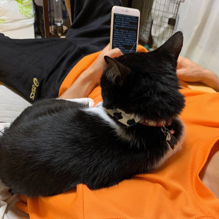 0f03653a 75b4 472c 99c5 df349a30c405 1570789352868