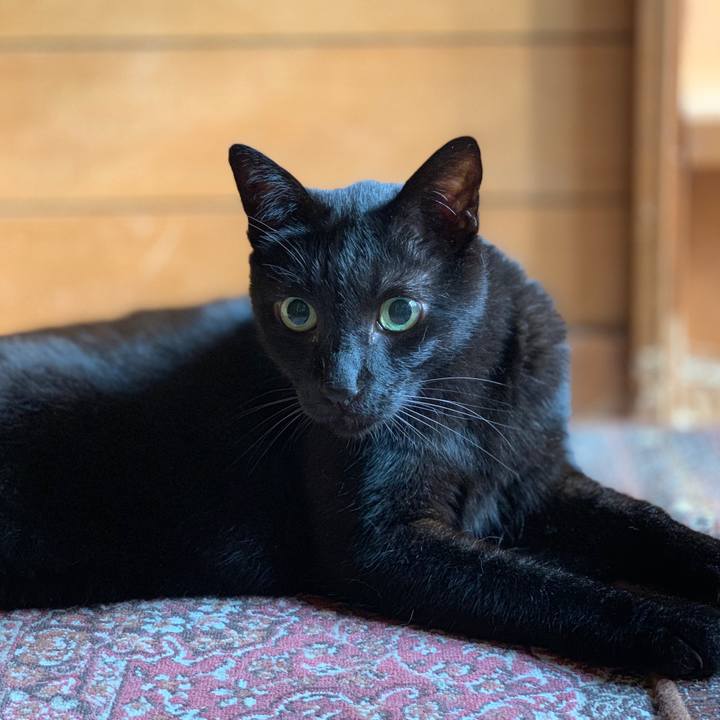 0f0401a1 c7f8 4314 b0df d74fc422cfee 1563839564568