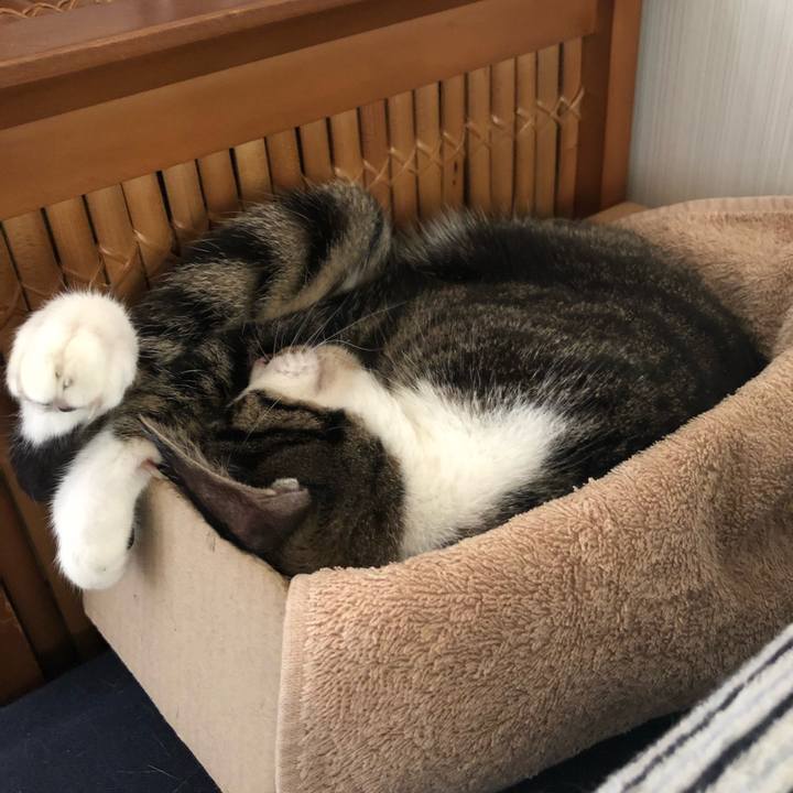 0f041db1 cf44 4adc 9b01 35cbc6e6a083 1535315045776