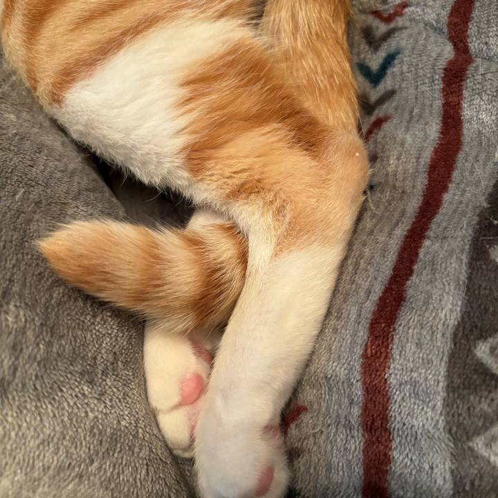 0f04c25c 1743 4a8c a2ce e32c4e31e28d 1711579841997