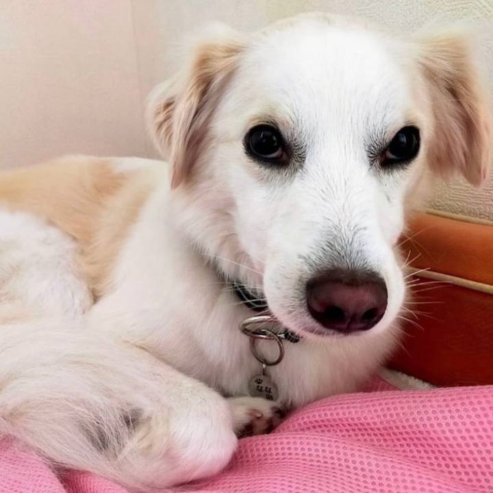 0f04f05c fdb8 49d1 851f 5773f0e315b2 1704261032532