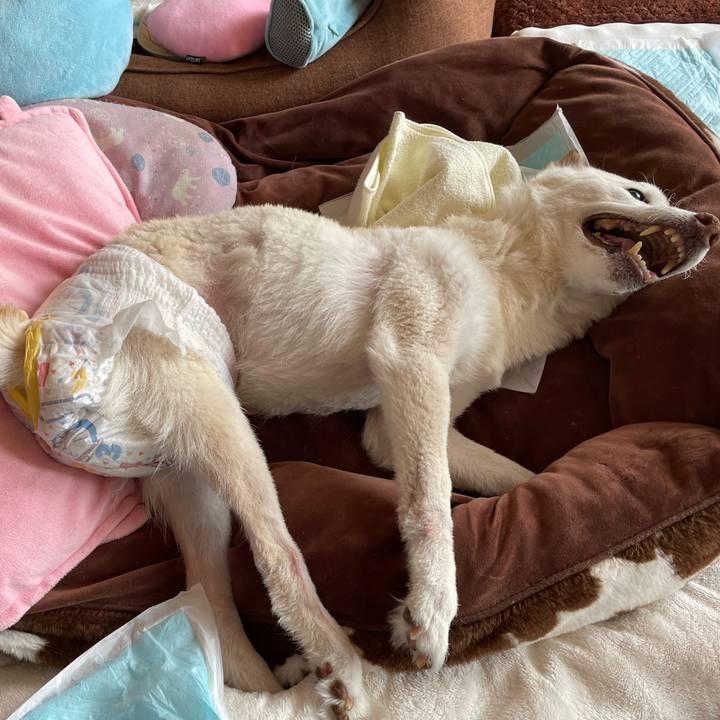 0f051a61 a9b4 4713 ad1a 8025b6d45c93 1678341548412