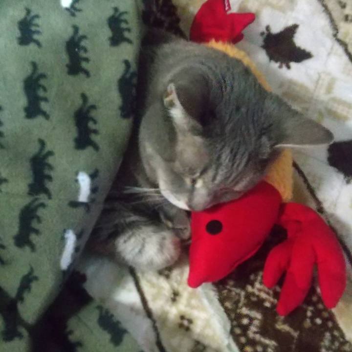 0f053603 1df1 499b ac30 5c5eda94d226 1676844304902