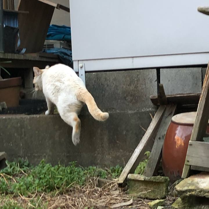 0f055897 9e28 4e3f bb6f cc3205b9bf84 1547047471584