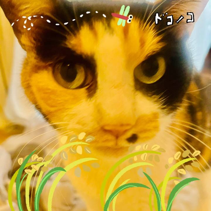 0f055ec0 b269 483b b3fc 46ee67f858f8 1761114152650