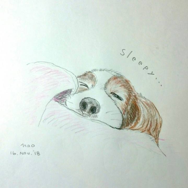 0f057324 997c 46b1 b0b3 329a4f08a6b4 1542376716307