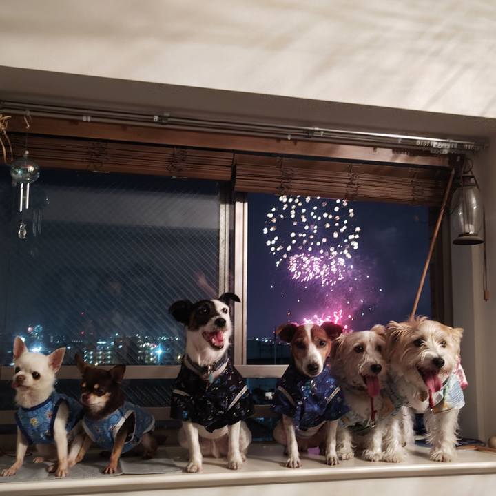 0f0593e5 42b2 42ff 886e 069b28e12946 1754143283694