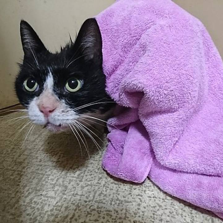 0f05a09d 90f0 4e33 aee9 c42ecd9a7a56 1534970681373