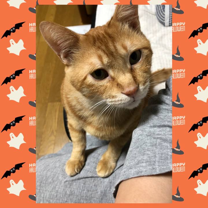 0f05bf6d d1d4 4b2e b6c1 550bb8cc92cd 1602067105652