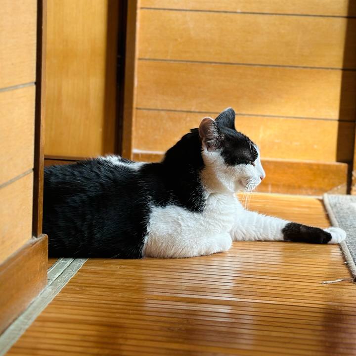 0f05cb0b 0511 4bdc b4b7 fdd75b9ed5c1 1724549519335