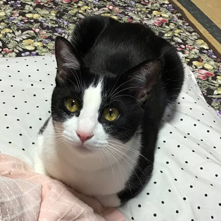 0f05d8c1 420e 432e a8fb e8da65dc436c 1654073450911