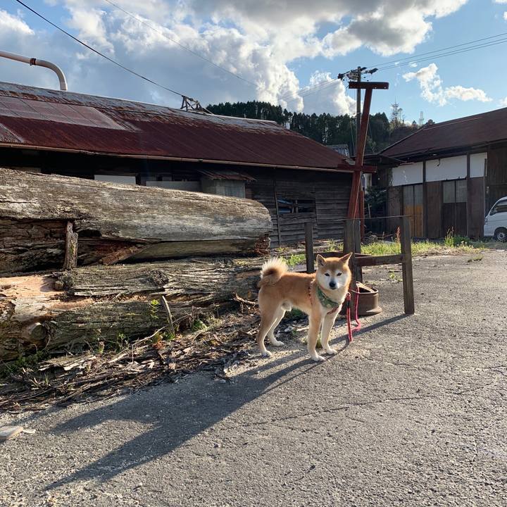 0f061d4d 14c4 4822 88a2 a4a6056447fc 1587631131996