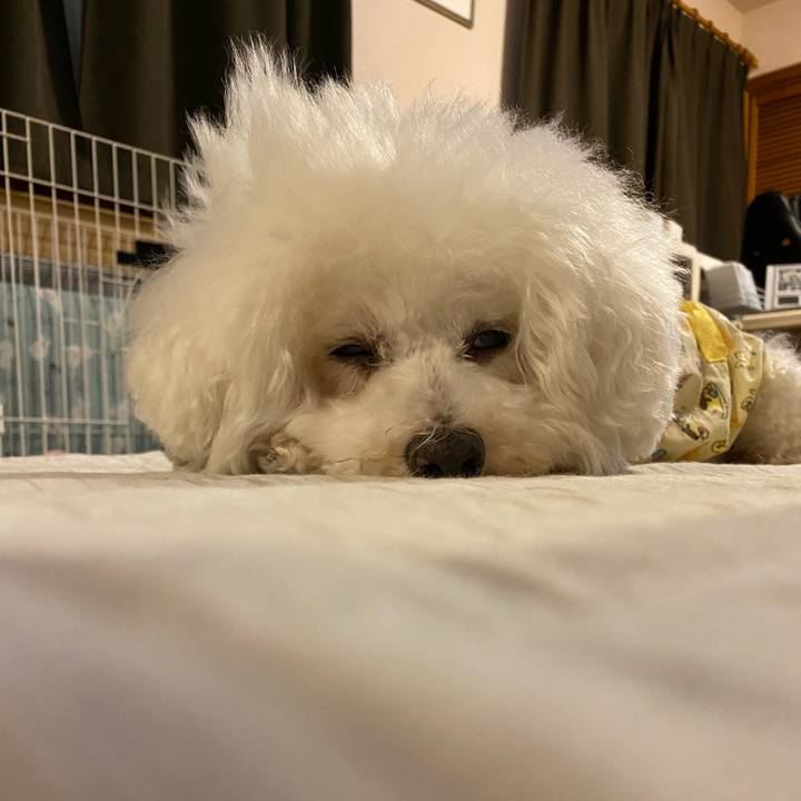 0f0636d0 ccf2 4053 9a1a 3927246cbbff 1685694094537