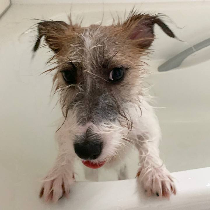 0f063910 2a67 4397 9e05 ddb35419c5f4 1570338665212