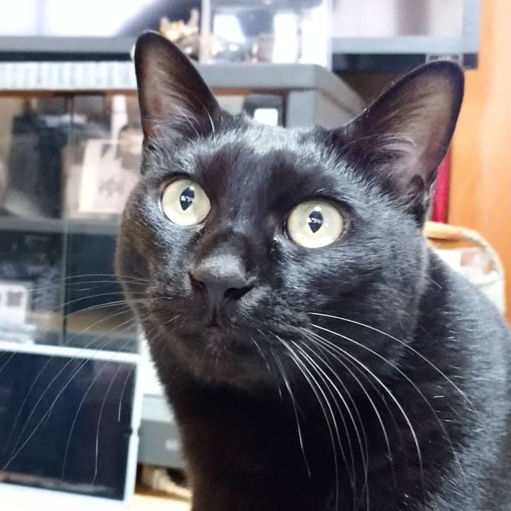 0f066d10 53f5 4692 a259 91f78a8ff143 1635672381735