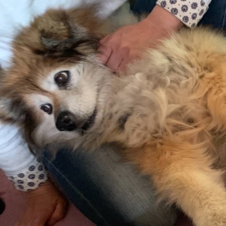 0f066feb e82c 4af6 8278 56ded5b7acbf 1575618430778