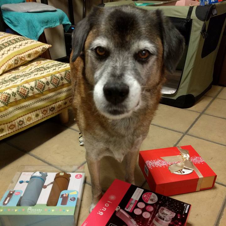 0f069f10 0c6c 4de0 9804 e420d40ab28a 1544168340214