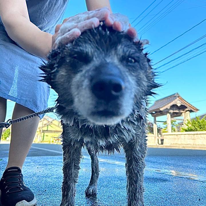 0f06b84f d381 46f9 9746 0c32608410b1 1692490180267