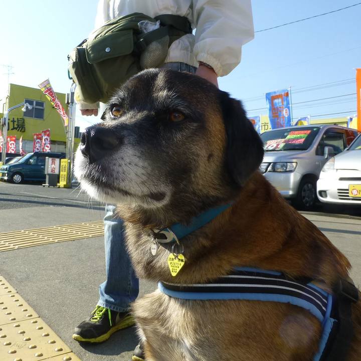 0f06bbae 670e 4e25 8b5d 4c153bf66bdd 1579171769676