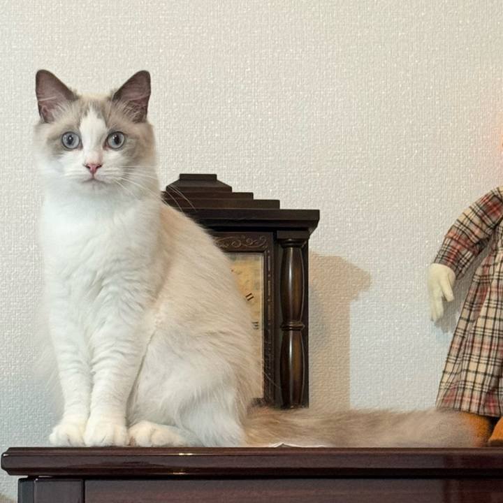 0f06d531 8dc7 4e93 bfba cedb5eb5b560 1754875097251