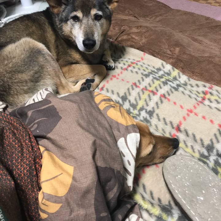 0f075dbd 61be 4342 9656 9c6be198cb2c 1548757616804