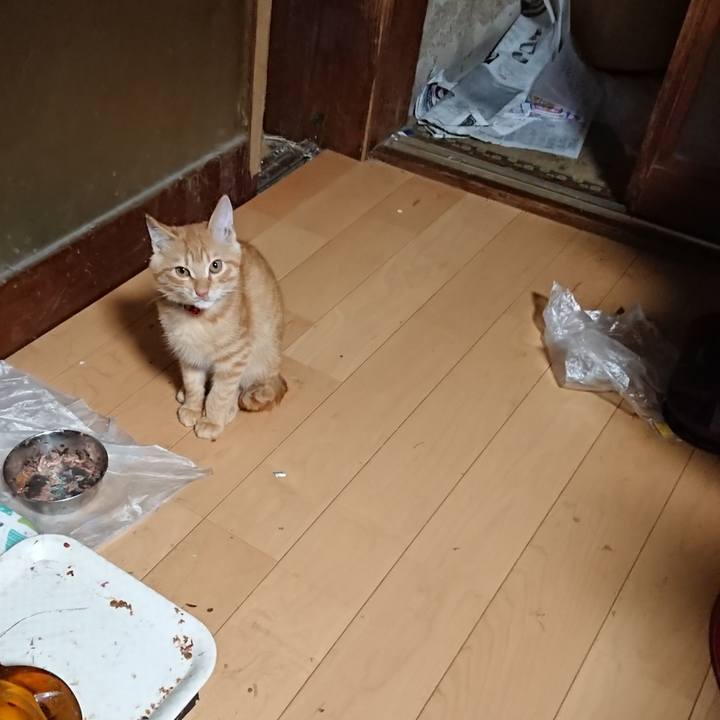 0f0760f2 1891 4b85 b659 81b395c6ddea 1633639013691