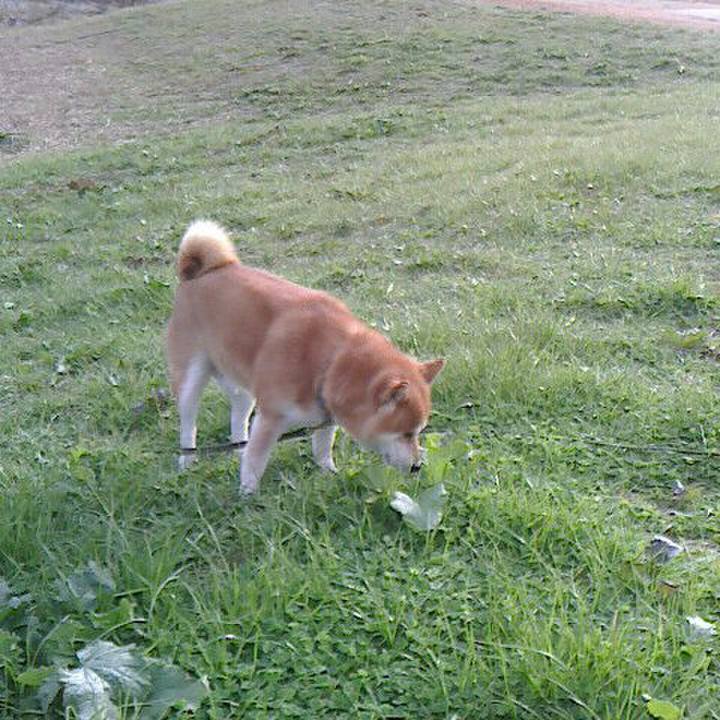 0f079438 c8ed 4396 a05c aa57cf643a3e 1576751266325