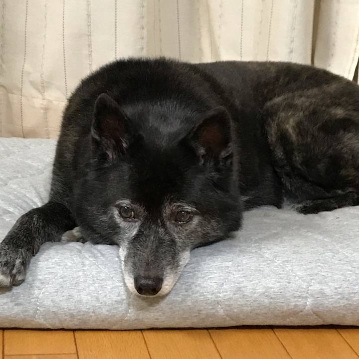 0f07abc6 cf87 4eda 8e68 73f900d34889 1539695188411