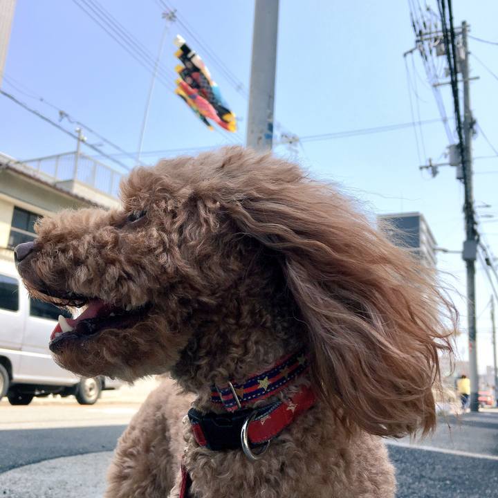 0f07d1a2 cb7b 40d3 8a74 cf010e045d16 1524913544369