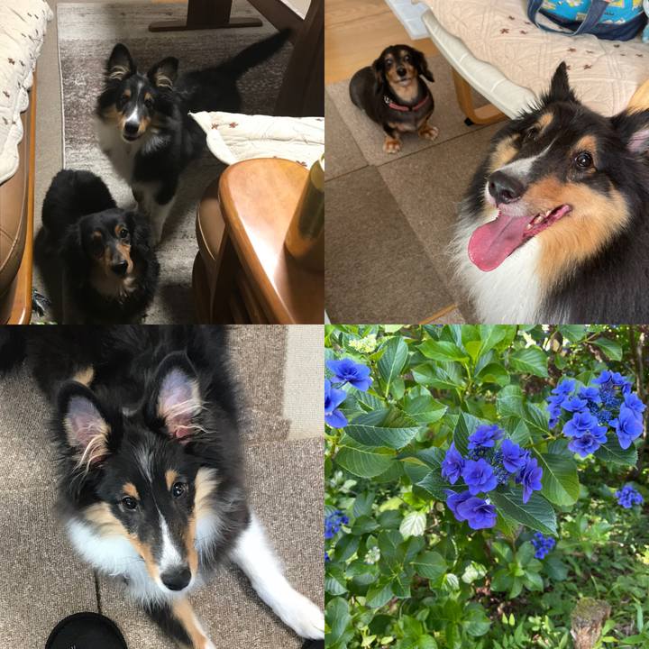 0f07f60a 9495 4fa8 967a 6c141a8287fb 1626731096202