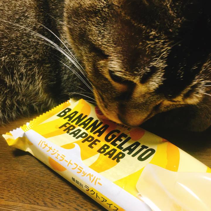 0f080b0c 6aec 4378 a3b7 0bf1309b7b73 1564844131071