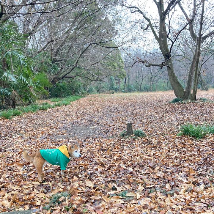 0f08268d fb3e 48e0 af39 a4f1355b5bc7 1766294919981