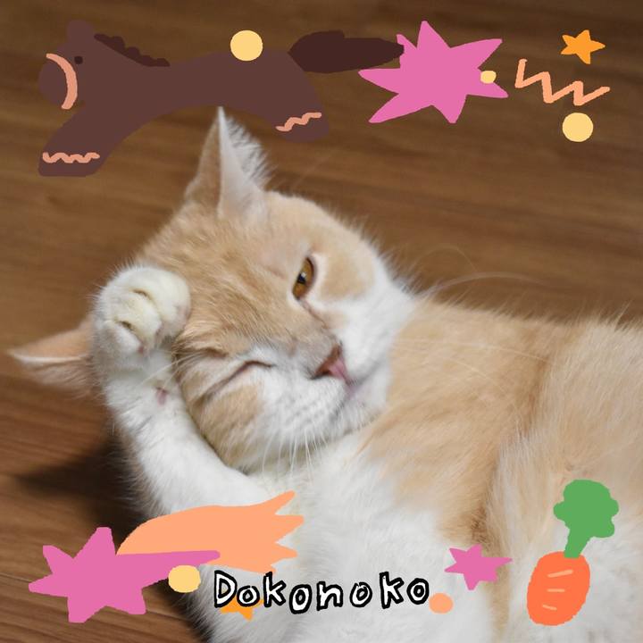 0f084901 ed66 44ec 8292 7baa75323c5d 1772267761719