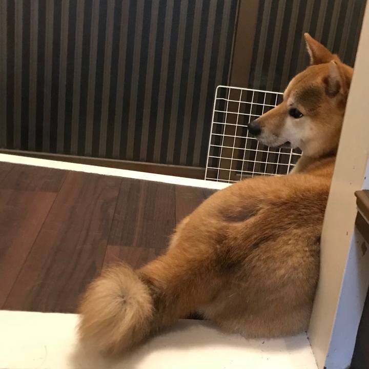 0f08598c 0bd7 408e b278 51b04b9bd386 1525267972610