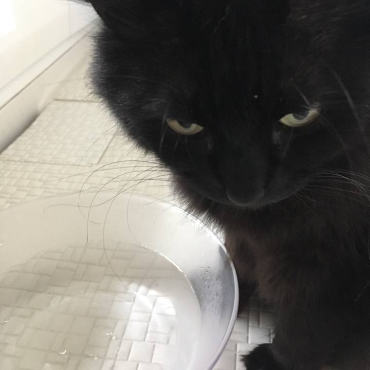 0f0866a2 d2aa 4ef3 8976 3aaa75b38489 1557888855204