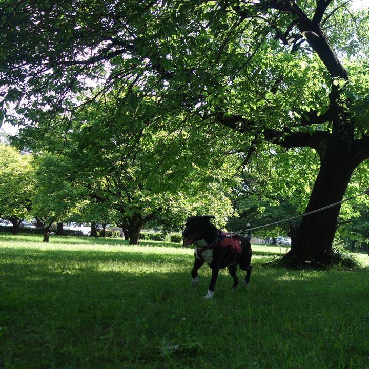 0f087628 b609 477a b109 bfbd7d0945e5 1686098944150