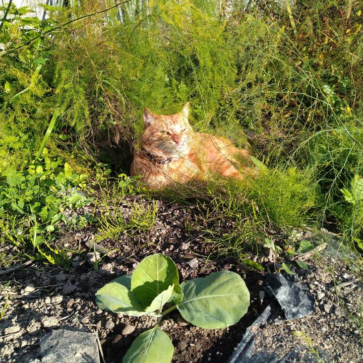 0f088329 2d1f 4e0a b67e e33f6b25e511 1666075307526