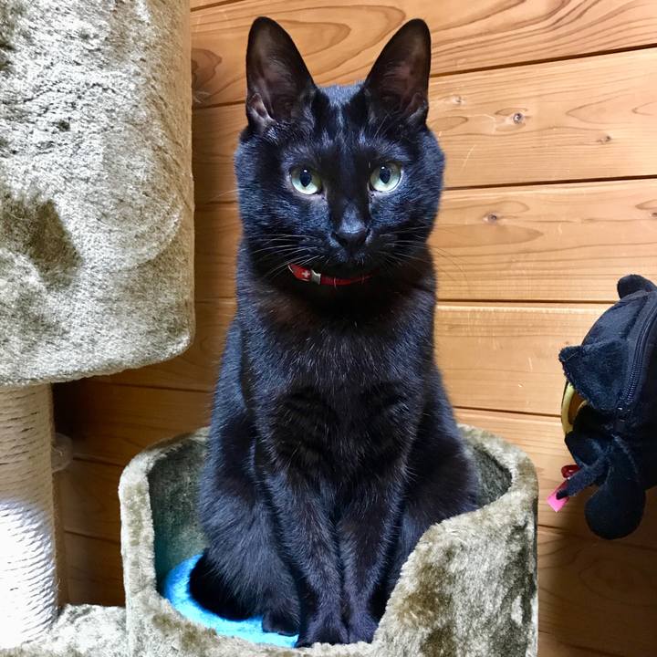 0f08ae48 b987 45c5 8b12 01cf113626de 1519655418295