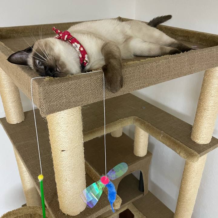 0f08d28e e4b6 474b a514 48b3bc8f95e2 1706556821232