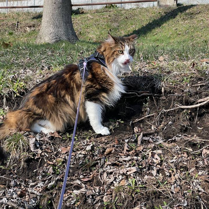 0f093119 db9c 4ba5 a135 9c9439c58fcc 1680327990826