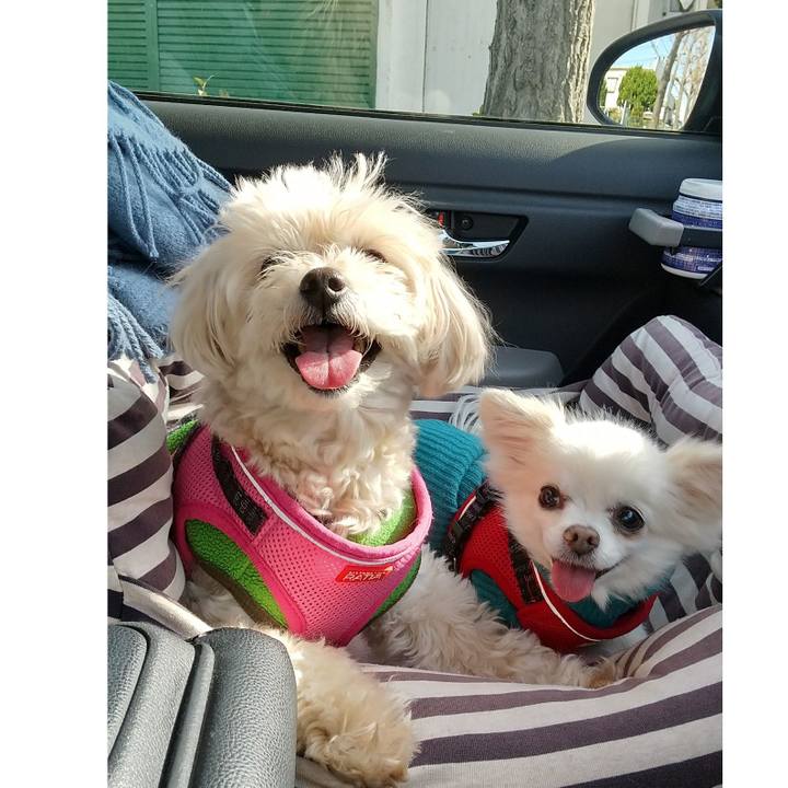 0f095f16 e924 475f a1cb 200f637306c9 1661346244349