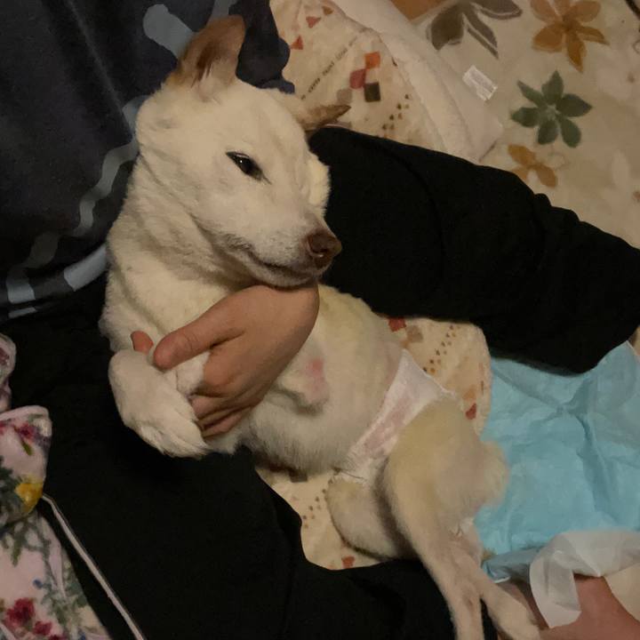 0f096072 1f29 43f3 aae5 70a1dfc81f23 1672199675359